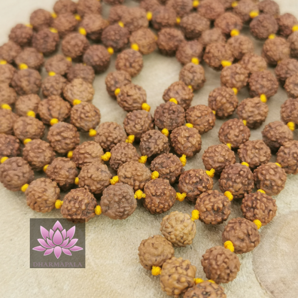 Rudraksha Mala-Kette